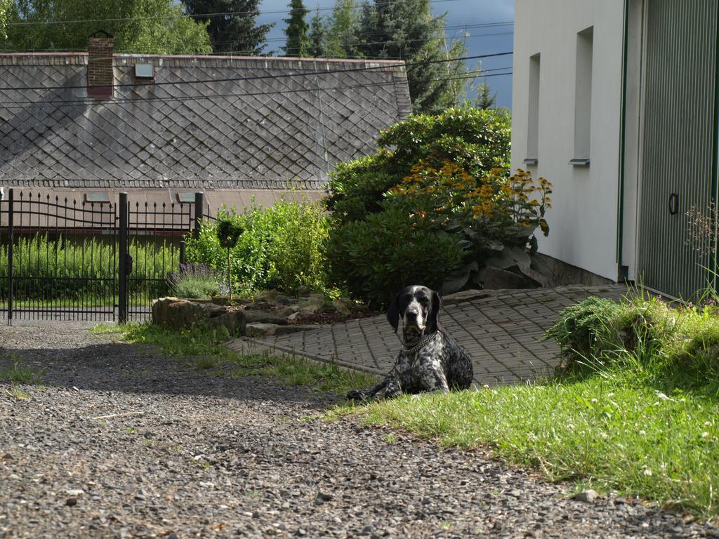Guest House Luft Sneznik Экстерьер фото